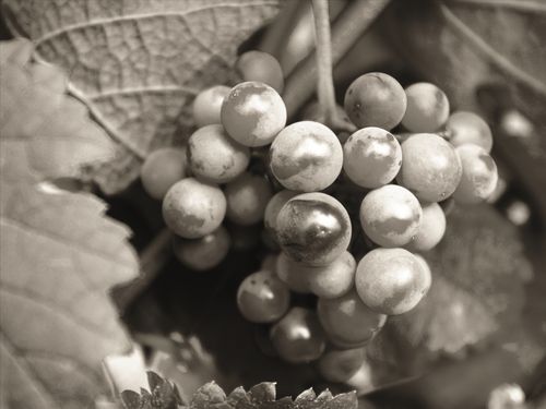 【见证】腰痛得医治的见证（20190609）