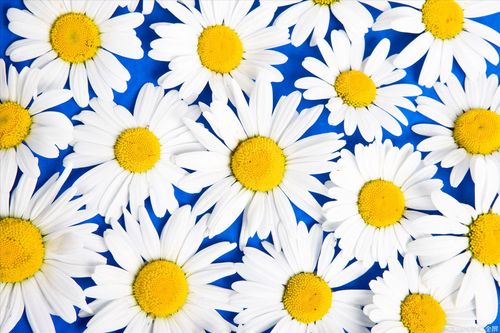 【见证】六月第四周医治释放见证集2（20190630）