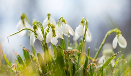 【见证】从苦毒中释放出来的见证（20190630）