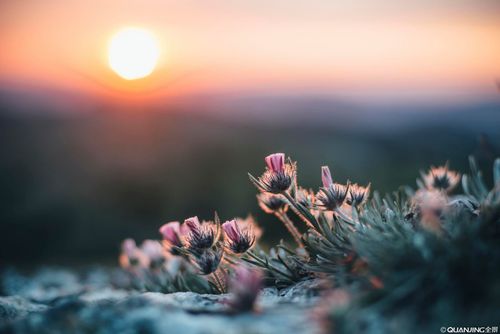 【讲道】认识神荣耀的知识