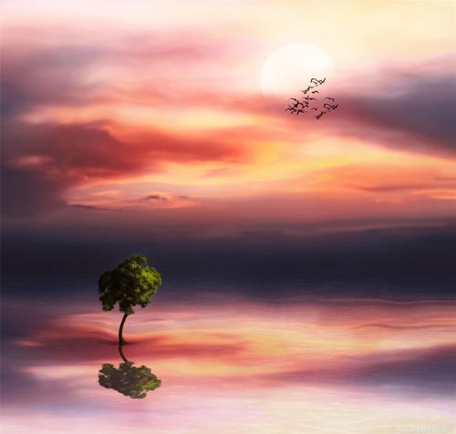 【讲道】对付属肉体的恶习