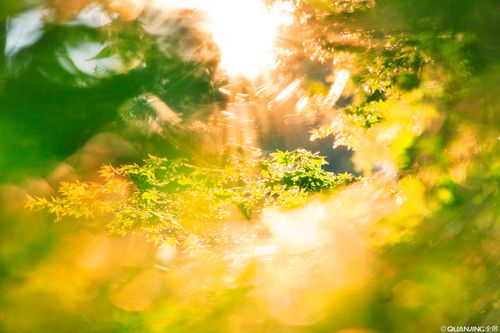 【见证】经历家族翻转的见证（20190728）