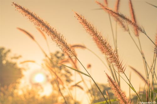 【见证】皮肤病得医治的见证（20190728）