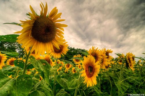 【课程】第一期全球网络研习会（4）-教会的牧养 第4讲-释放异象和梦想