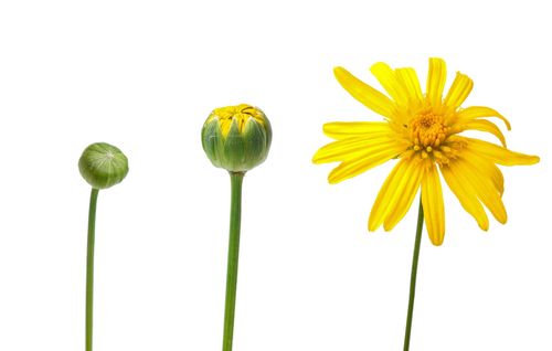 【课程】第一期全球网络研习会（5）-得着命定成为祝福 第1讲