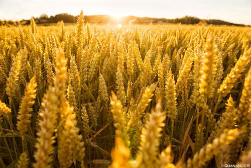 【见证】付代价祷告争战，新来三个月的姐妹多年腿疼得医治（2019-10-06）