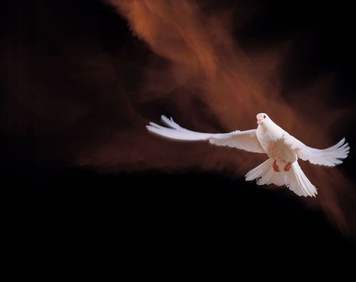 【讲道】赶鬼系列01：赶鬼的回报！