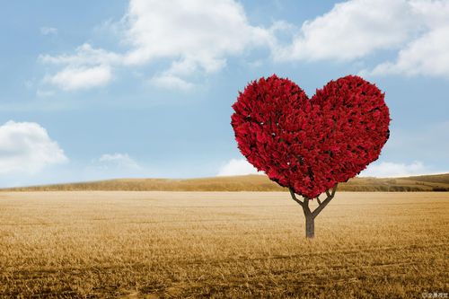 【见证】一位加拿大牧师的侄女大肠癌得医治，妻子腰椎疼痛得医治的见证（20191110）