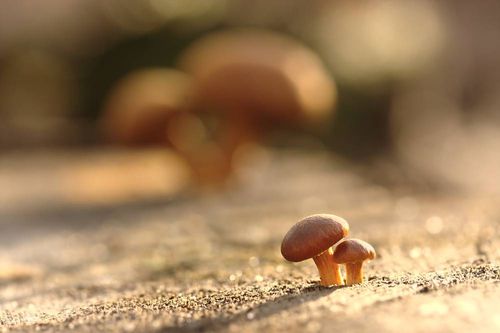 【见证】工作，财务蒙福的见证（20200112）