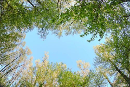 【查经】但以理书 10章 - 专心寻求明白将来的事