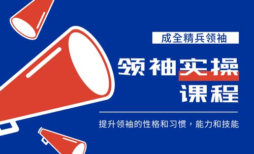 【课程】领袖实操课程301（医治释放实操案例003 - 失眠、抑郁，惧怕，思辨的人寻求医治释放的服侍）