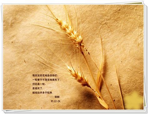 【见证】破除学历的迷思，恢复信心和自由的见证！（20200202）