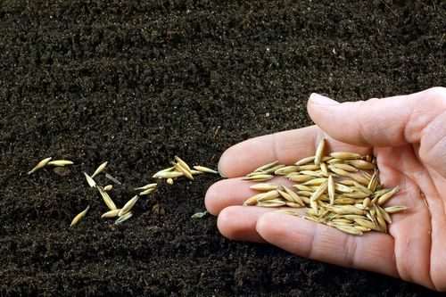 【祷告】主题：竭力在悟性上认识神