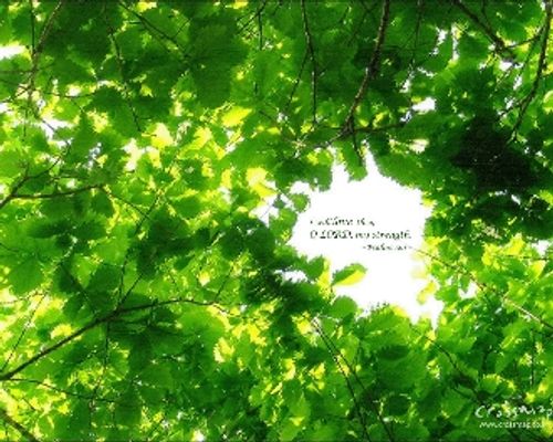 【祷告】主题：用心灵和诚实敬拜神！