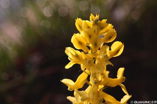 【祷告】主题：抓住重要的事