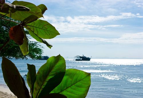 【见证】对付识别善恶，智齿发炎得医治（20200315）