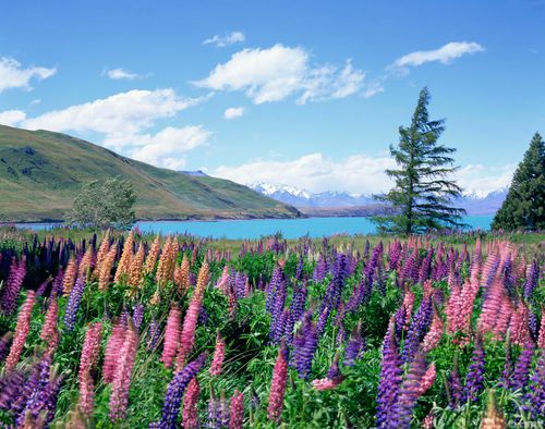 【祷告】主题：破除爱面子