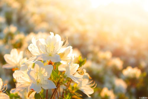 【见证】牙疼得医治的见证（20200426）