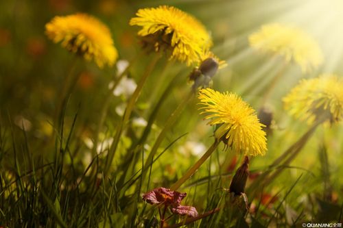 【见证】灵里警醒，要抓住神的恩典（20200426）