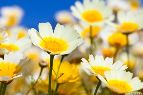 【见证】对付孩子争竞、爱面子、小气等问题的见证（20200517）