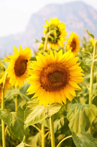 【见证】参加事工得到释放和力量（20200607）