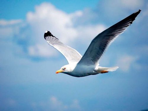 【祷告】主题：竭力追求，克服懒惰