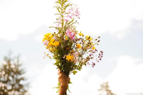 【见证】孩子养成正确大小便习惯的见证（20200628）