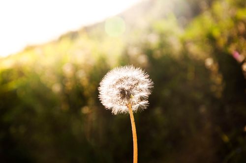 【祷告】主题：争战得胜，掳掠仇敌，创造未来！