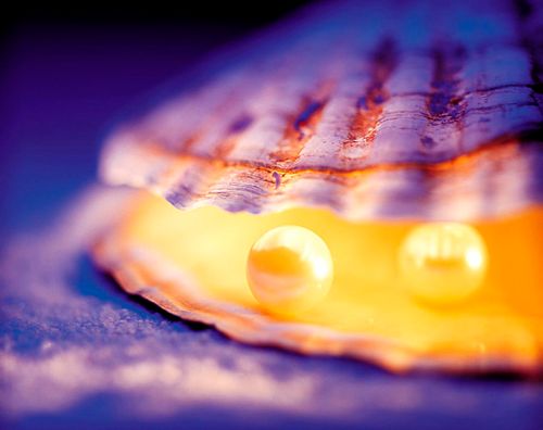 【见证】根基建造事工学员见证：活出神荣美的形象，不治之症得医治（20200802）