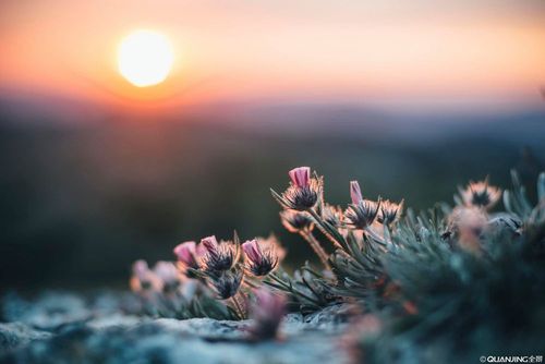 【命定音乐】第43首-《你是我盼望》