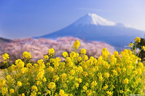 【见证】孩子花粉过敏得医治的过程（20200913）