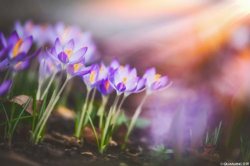 【见证】像耶稣一样传福音医病服侍的见证！（20201018）