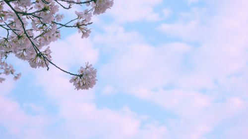 【命定音乐】第18首-《扩张我们》