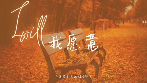 【命定音乐】第52首-《我愿意》
