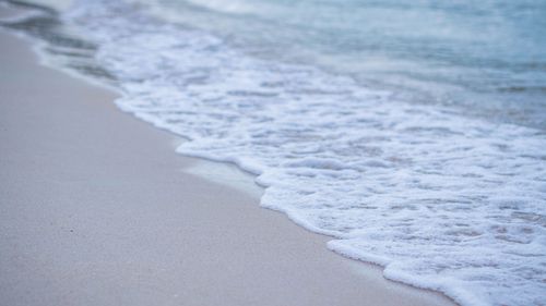 【命定音乐】第25首-《我要敬畏你的名》