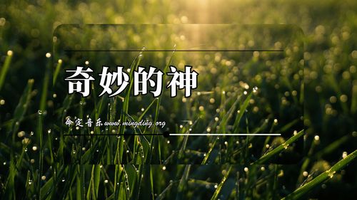 【命定音乐】第30首-《奇妙的神》