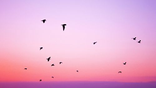 【命定音乐】第33首-《谨守遵行》