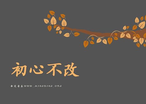 【命定音乐】第55首-《初心不改》