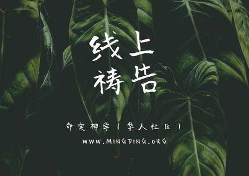 【祷告】主题：对神的国忠心