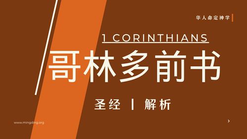 【查经】哥林多前书 05章 - 保持教会的洁净