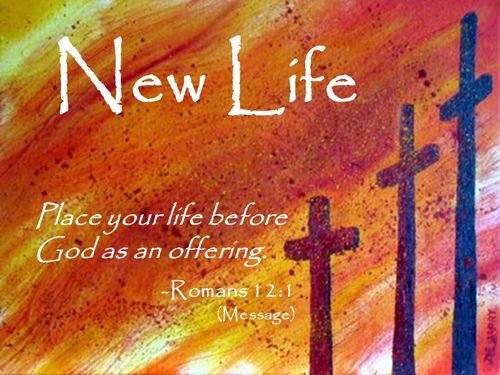 【见证】我是如何脱离贫穷的咒诅进入工作和财务蒙福的！（20210117）