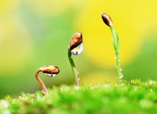 【见证】打击龙的灵，对付不脚踏实地的恶习后蒙福见证！（20210307）