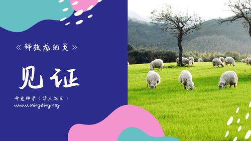 【见证】释放龙的灵（20210321）