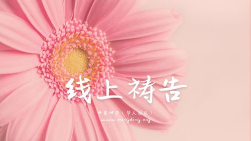 【线上祷告】主题：打击情欲的龙系列（4）