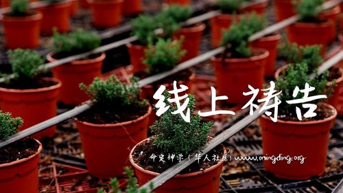 【线上祷告】主题：打击情欲的龙系列（8）