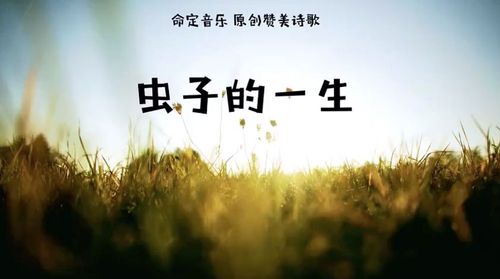 【命定音乐】第59首 -《虫子的一生》