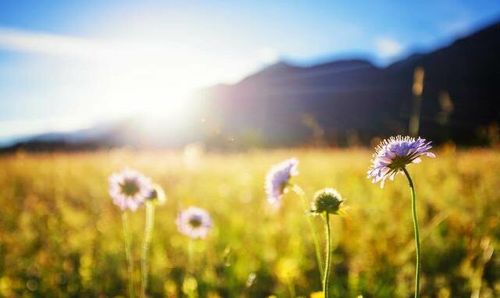 【见证】服侍见证：高血压和忧郁症得医治！（20210418）