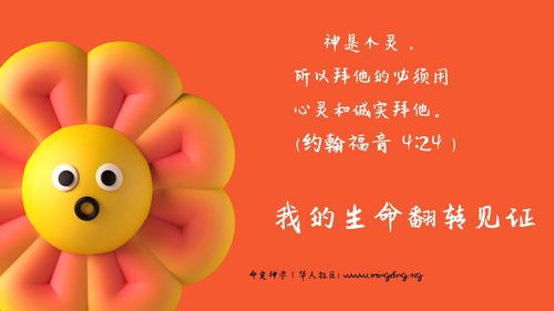 【见证】屌丝老师的逆袭人生！（20210425）