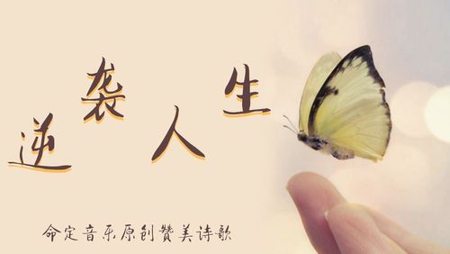 【命定音乐】第63首 -《逆袭人生》