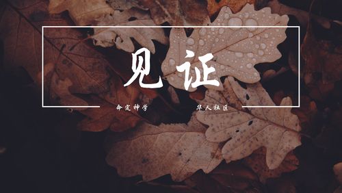 【见证】工作蒙福和生命成长（20210613）